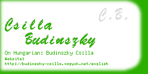 csilla budinszky business card